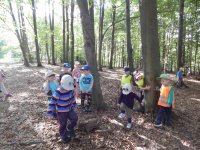 Wycieczka do lasu 23.9.2020